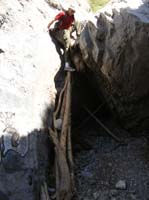 79-Dad_climbing_down_the_tree_branches