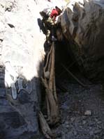 80-Dad_climbing_down_the_tree_branches