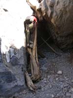 82-Dad_climbing_down_the_tree_branches