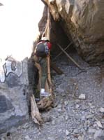 84-Dad_climbing_down_the_tree_branches
