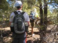 17-slogging_through_a_thick_part_of_the_forest