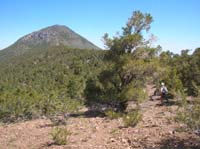 18-now_we_can_see_Wheeler_Peak