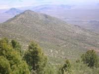 23-odd_lines_on_the_side_of_the_hill-Forest_Service_research_for_something_perhaps