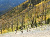 59-group_on_the_trail_with_pretty_scenery
