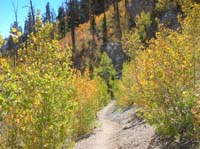 60-colorful_scenery_on_trail