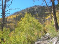 61-colorful_scenery_on_trail