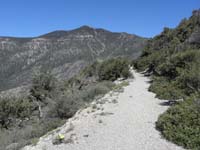 02-trail_with_Griffith_Peak_in_distance