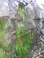 35-pretty_cascading_water_with_moss