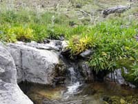 39-followed_flowing_water_to_this_meadow_with_small_waterfall-pretty_scenery