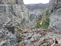 47-lots_of_avalanche_debris_in_canyon_leading_to_top_of_Big_Falls