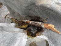 48-cliffed_out-could_scale_log,but_not_alone_with_water_flowing_and_no_rope-aborted