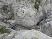 51-looking_down_from_right_side_of_canyon_from_previous_picture