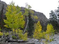 57-fall_colors_in_wash-took_wash_all_the_way_down_to_the_parking_area_instead_of_the_trail