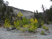58-fall_colors_in_wash_looking_back