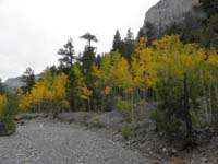 59-more_fall_colors_in_wash-drizzled_all_the_way_from_Big_Falls
