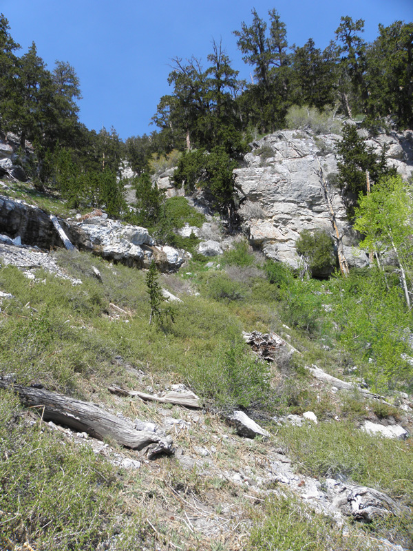 04-lusher_vegitation_at_Mummy_Spring_to_upper_left