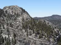 50-interesting_perspective_seeing_the_route-cluster_of_trees_in_picture_23