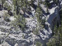 51-interesting_perspective_seeing_the_route-picture_24