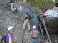 05-some_climbed_the_rock_while_others_climbed_the_tree