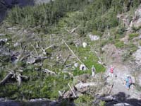 14-first_down_to_the_meadow