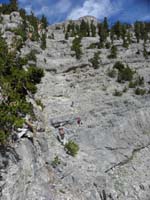 36-Ed_Mark_and_Luba_scrambling