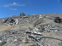 46-impact_site_for_crash-South_Loop_Trail_cuts_through_debris