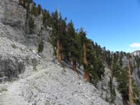 59-Jenn_hiking_along_North_Loop_Trail