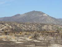 06-zoom_of_Harris_Peak-thankfully_the_entire_mountain_didn't_get_scorched