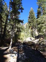 09-flat_area_used_by_backpackers-continue_up_usage_trail