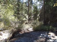 10-looking_back-very_neat_healthy_terrain