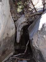 12-next_hard_scramble_by_steming_with_back_and_feet_then_pulling_up-picture_taken_on_way_down