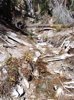 13-spring_with_small_waterfall-this_would_be_very_neat_hike_in_Spring_with_new_growth_and_flowers