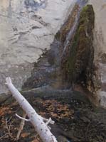 15-pretty_waterfall_and_mosses-used_HDR_option_for_photo