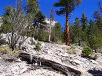 18-continued_up_drainage_until_ends-realized_not_far_from_Mummy_Toe-go_up_steep_30_percent_grade