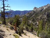 20-Griffith_Peak_and_Cockscomb_Peak-will_consider_this_route_in_future_to_Cockscomb