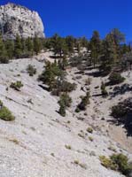 22-Mummy_Toe_with_neat_steep_drainage-leads_to_deadend_right_fork_at_end_of_Fletcher_Canyon
