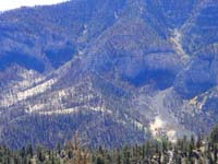 25-restoration_effort_after_fire_dropping_mulch_and_seeds