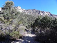 01-travel_.4_miles_up_Fletcher_Canyon_trail_to_road_uphill_to_right-after_hill_this_is_scenery