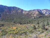 03-views_along_trail_looking_up_Kyle_Canyon-Harris_Peak_to_left