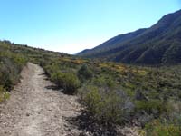 05-views_along_trail_looking_down_Kyle_Canyon