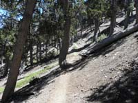 09-Kristi_runs_down_trail_to_pick_me_up_at_Deer_Creek_Picnic_Area_parking_lot