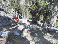 54-very_steep-some_areas_you_can_run_down,others_not