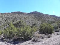 24-route_up_to_unknown_named_peak-saved_.6_miles_and_300_feet_each_way