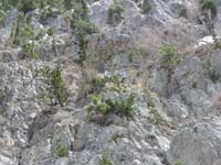 47-Kenny_and_the_other_kid-highest_they_went