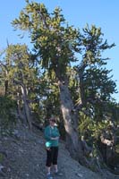 08-Kristi_and_Bristlecone_Pine