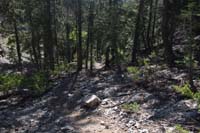 17-quite_steep_and_less_traveled_alternate_route