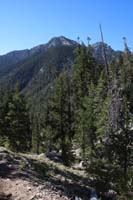 18-view_along_alternate_trail_meeting_back_to_main_Bristlecone_Trail