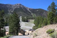 21-ski_resort_with_Lee_Peak_in_distance-wild_horses_in_meadow_area
