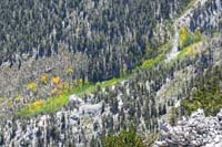 32-zoom_of_Aspen_field_below_starting_to_change_colors