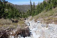 44-can_continue_down_drainage,but_trail_to_left